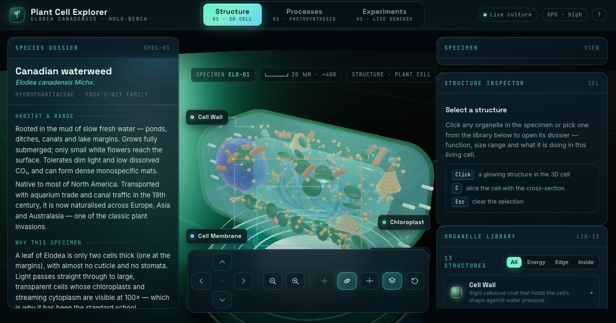Screenshot of the Plant Cell Explorer demo